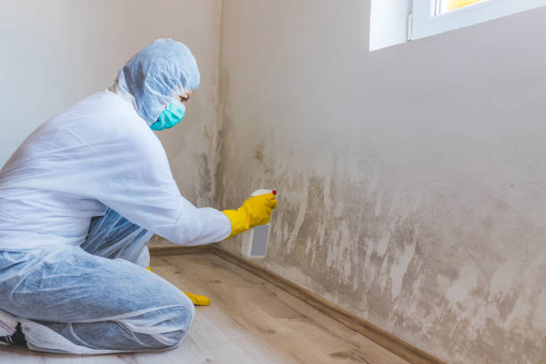 Hvac And Air Duct Mold Remediation inspection of HVAC system in Maugansville